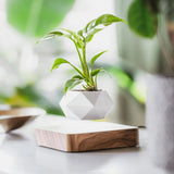 Zwevende plantenhouder met magnetische levitatie - Liva