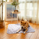 PetPlush - Absorberende Plasmat voor Honden