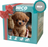 Interactieve Pluchen Hond met Realistische Bewegingen – Voor Kinderen & Senioren