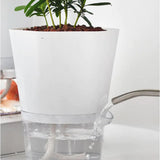 AquaPlanter - Slimme Bloempot en Mini Aquarium in één