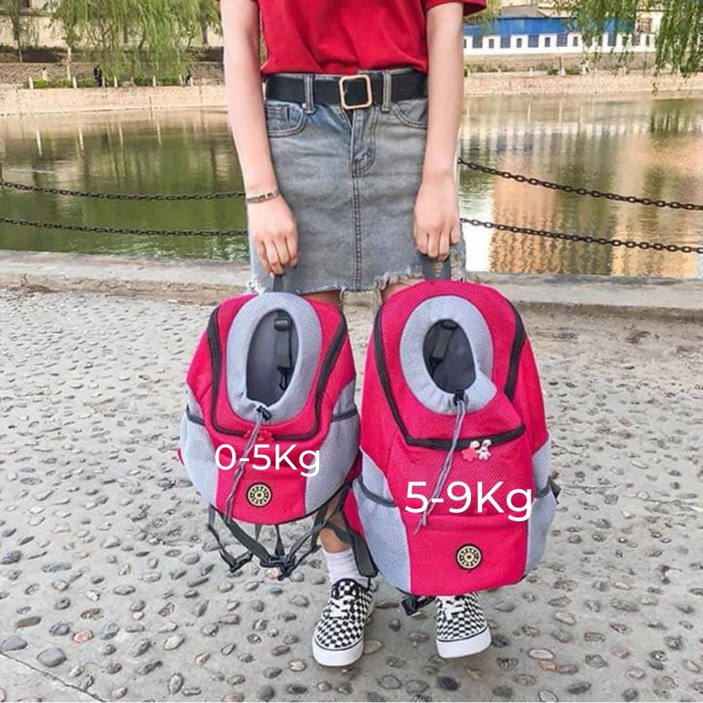 Comfortabele en veilige hondenrugzak - BuddyPack
