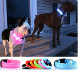 HondVeilig Pro - LED-halsband voor honden - Voel je veilig en stijlvol tijdens het uitlaten