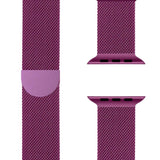Milanese Apple Watch Band – SteelFlex