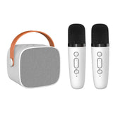 Luxe karaoke-apparatuur voor thuisconcerten