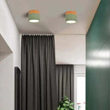 Noordse Cilinder LED Plafondlamp – Minimalistische Inbouwlamp voor Moderne Gangen
