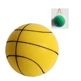 Sandsberg - Geluidsloze Basketbal