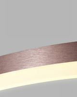 RingLuma | Energiezuinige LED plafondlamp | Elegant ringontwerp | Modern design | IJzer en acryl | AC 90-260V | Diverse afmetingen | Verfijnde sfeer voor elke kamer