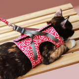 KittyComfort | Vliegtuigveilige kattenharnas-set