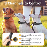 ProTrain – Oplaadbare Waterdichte Honden Trainingshalsband