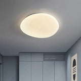 Organische LED Plafondlamp Natuurlijke Steen Vorm