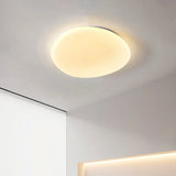 Organische LED Plafondlamp Natuurlijke Steen Vorm