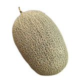 Pluche Fruitkussen - CuddleFruit
