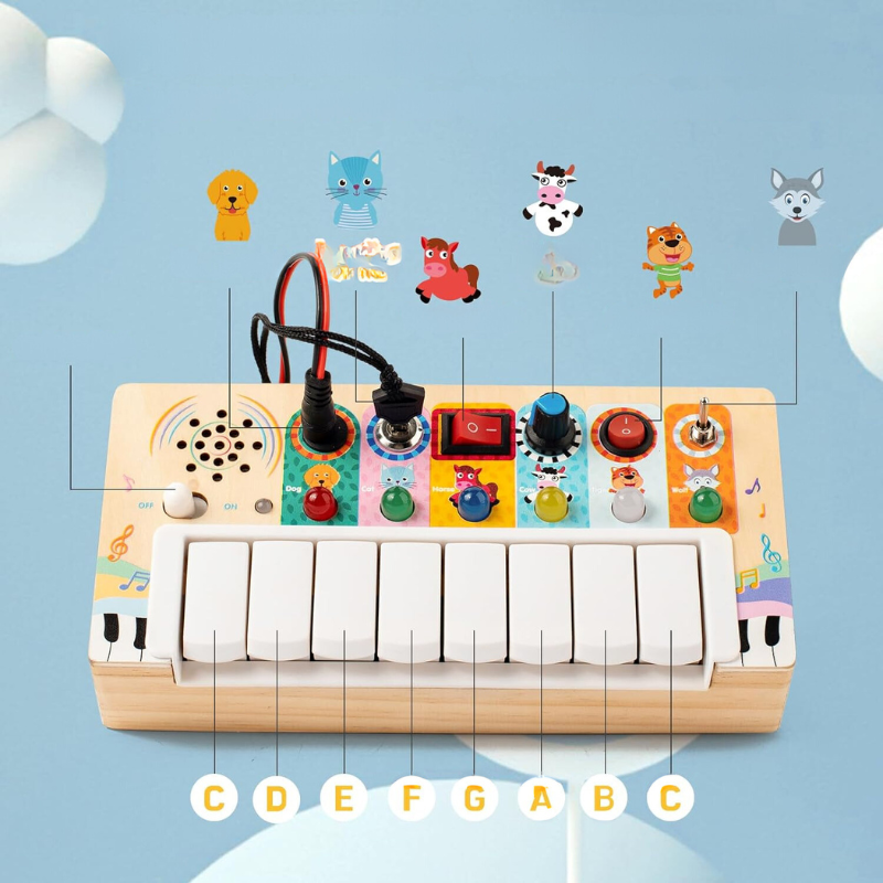 Montessori Speelset voor Baby's vanaf 6 maanden - LearnBuddies