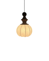 De Zijde Licht