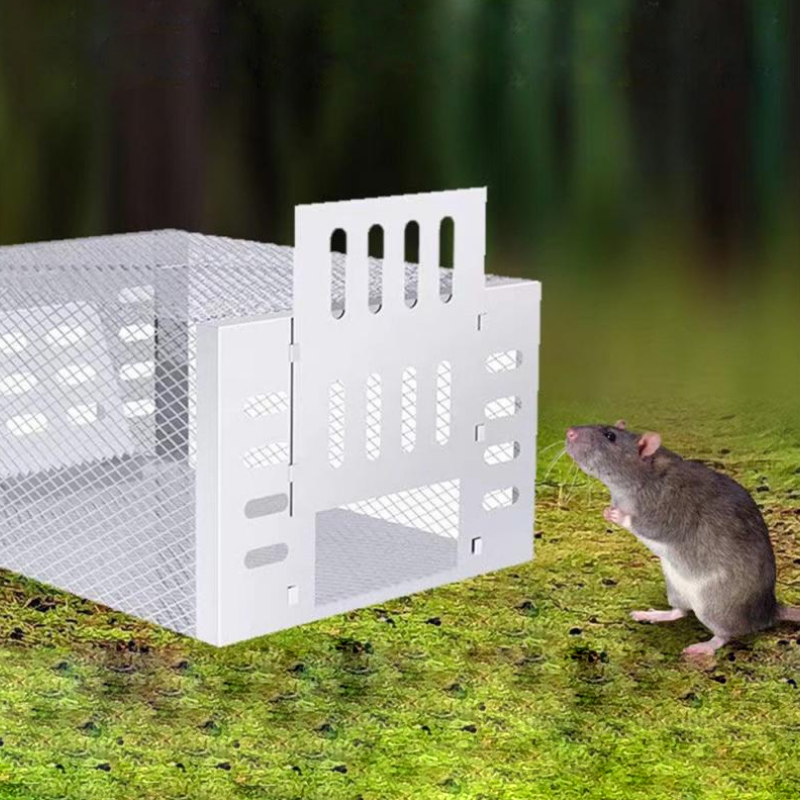 Menselijke Muizenvanger – Herbruikbare, Ruimtelijke Levende Vangkooi voor Veilige en Ethische Ongediertebestrijding