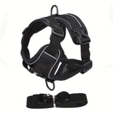 Reflecterend Kattenharnas en Riemset – Ideaal voor Wandelen en Training