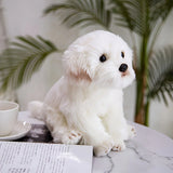 Zachte Knuffelbare Pluche Honden Speelgoed - Schattige Gevulde Teddybeer, Perfect Puppykado voor Kinderen