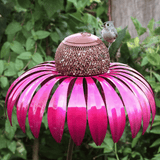 FloraBird - Kegelbloemen Vogelvoederhuis