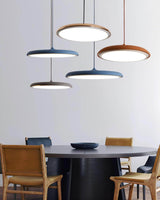 Hanglamp met Eenvoudig Ontwerp voor Moderne Interieurs