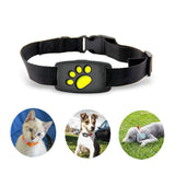 Intelligente GPS-halsband voor katten en kleine honden – PawTrack
