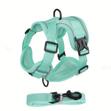Reflecterend Kattenharnas en Riemset – Ideaal voor Wandelen en Training