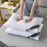 Slaapcomfort Set - 2 Hypoallergene 3D Kussens voor Hotelkwaliteit Slaap