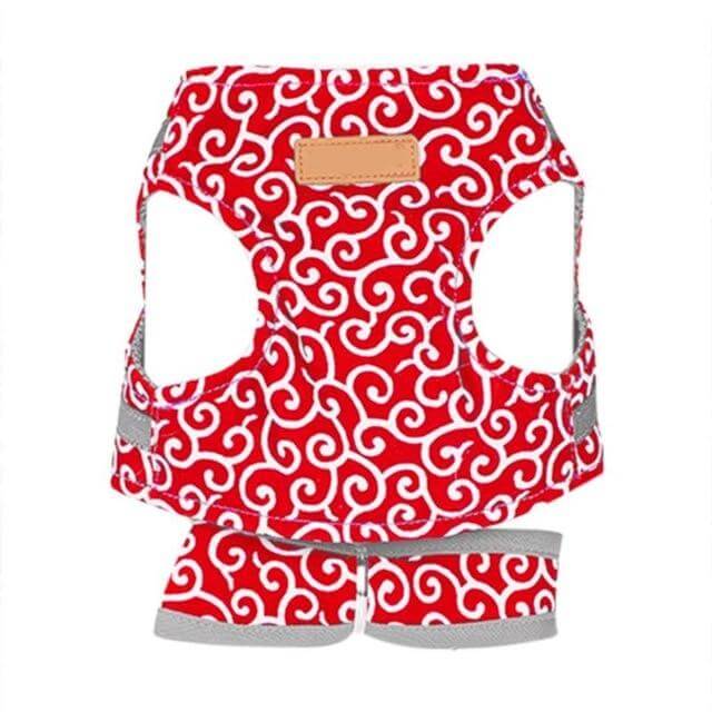 Kattenvest | Harnas Set | Comfortabel Verstelbaar Gaasvest | Perfect voor Wandelen, Joggen en Hiken | Maat XS-S | Inclusief Tractietouw 1,2m | Polyester | Ideaal voor Kittens en Volwassen Katten