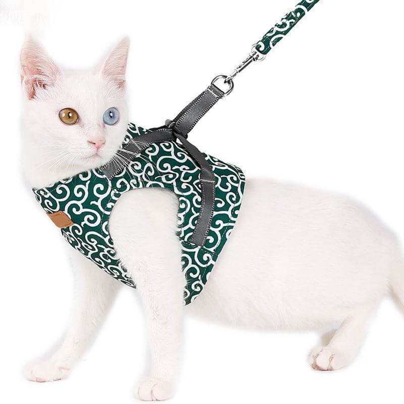 Kattenvest | Harnas Set | Comfortabel Verstelbaar Gaasvest | Perfect voor Wandelen, Joggen en Hiken | Maat XS-S | Inclusief Tractietouw 1,2m | Polyester | Ideaal voor Kittens en Volwassen Katten
