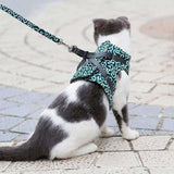 Kattenvest | Harnas Set | Comfortabel Verstelbaar Gaasvest | Perfect voor Wandelen, Joggen en Hiken | Maat XS-S | Inclusief Tractietouw 1,2m | Polyester | Ideaal voor Kittens en Volwassen Katten