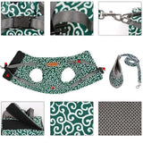 Kattenvest | Harnas Set | Comfortabel Verstelbaar Gaasvest | Perfect voor Wandelen, Joggen en Hiken | Maat XS-S | Inclusief Tractietouw 1,2m | Polyester | Ideaal voor Kittens en Volwassen Katten