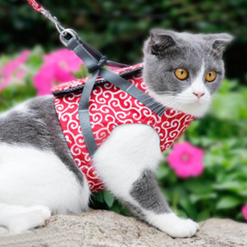 Kattenvest | Harnas Set | Comfortabel Verstelbaar Gaasvest | Perfect voor Wandelen, Joggen en Hiken | Maat XS-S | Inclusief Tractietouw 1,2m | Polyester | Ideaal voor Kittens en Volwassen Katten