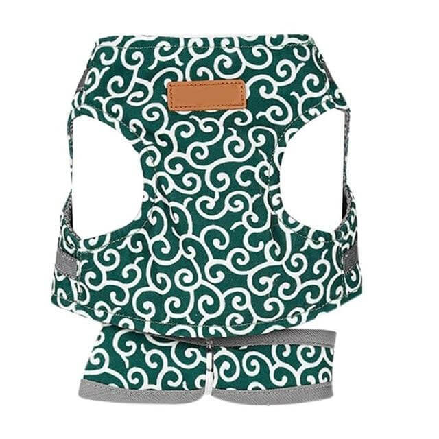 Kattenvest | Harnas Set | Comfortabel Verstelbaar Gaasvest | Perfect voor Wandelen, Joggen en Hiken | Maat XS-S | Inclusief Tractietouw 1,2m | Polyester | Ideaal voor Kittens en Volwassen Katten