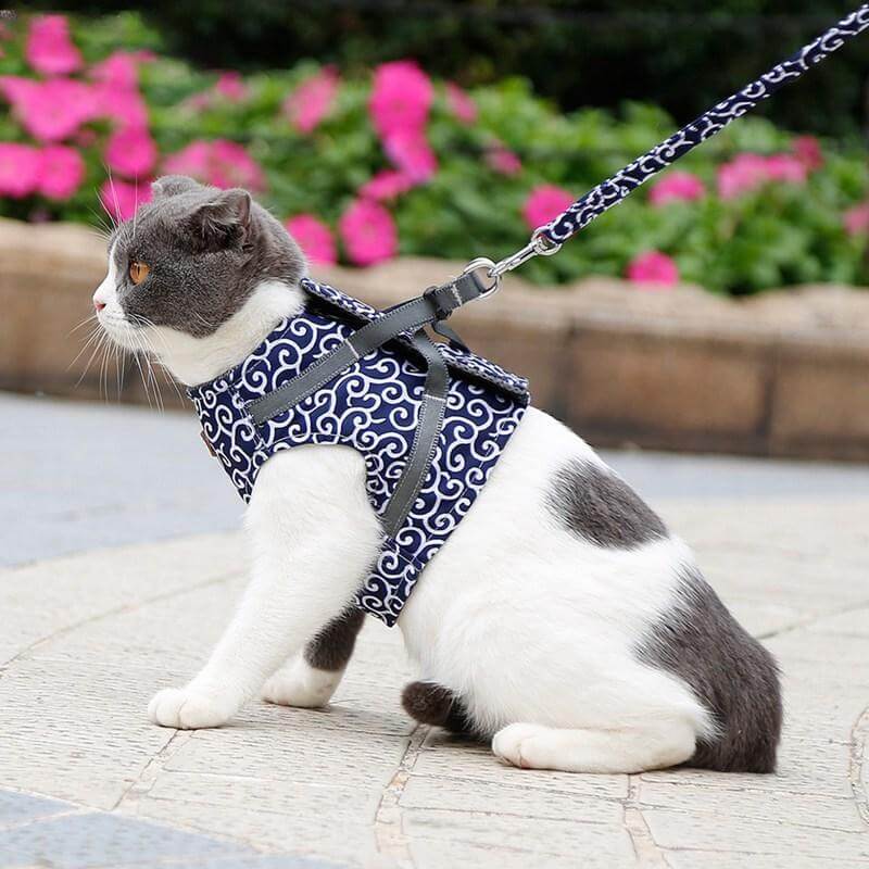 Kattenvest | Harnas Set | Comfortabel Verstelbaar Gaasvest | Perfect voor Wandelen, Joggen en Hiken | Maat XS-S | Inclusief Tractietouw 1,2m | Polyester | Ideaal voor Kittens en Volwassen Katten