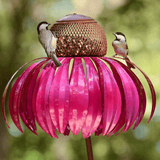 FloraBird - Kegelbloemen Vogelvoederhuis