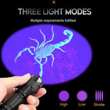 LED UV-Zaklamp - Ultraviolet Inspectielamp voor Huisdierurine en Vlekkenherkenning