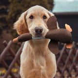 SolidPet Hondenspeelgoed | Duurzaam & Veilig | Voor Alle Honden