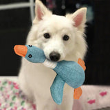 SolidPet Hondenspeelgoed | Duurzaam & Veilig | Voor Alle Honden