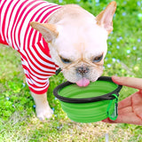 Opvouwbare Pet Voerbak – Duurzaam en Compact voor Honden en Katten
