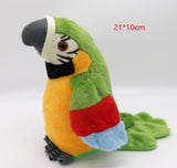De Pratende Papegaai-Pluche - Squawkie