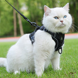 Reflecterend Kattenharnas en Riemset – Ideaal voor Wandelen en Training