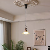 Hanglamp met houten accenten