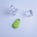 Huisdier GPS-Tag - PawFinder
