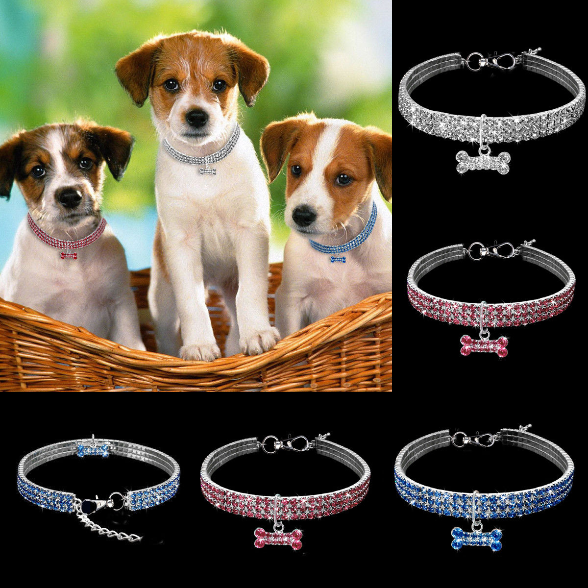 Premium Huisdierhalsband - Bling It On