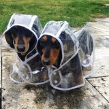 Transparante Waterdichte Regenjas voor Honden - DryPaw