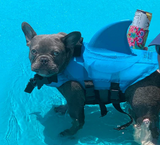 Hondenzwemmers - AquaPup