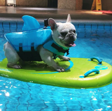 Hondenzwemmers - AquaPup