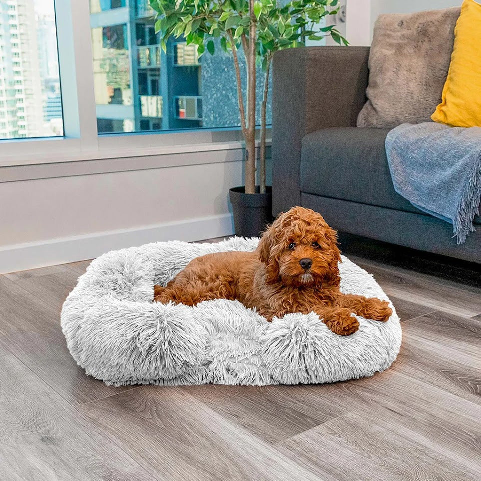 Rustgevend Hondenbed met Geheugenfoam - Charlie