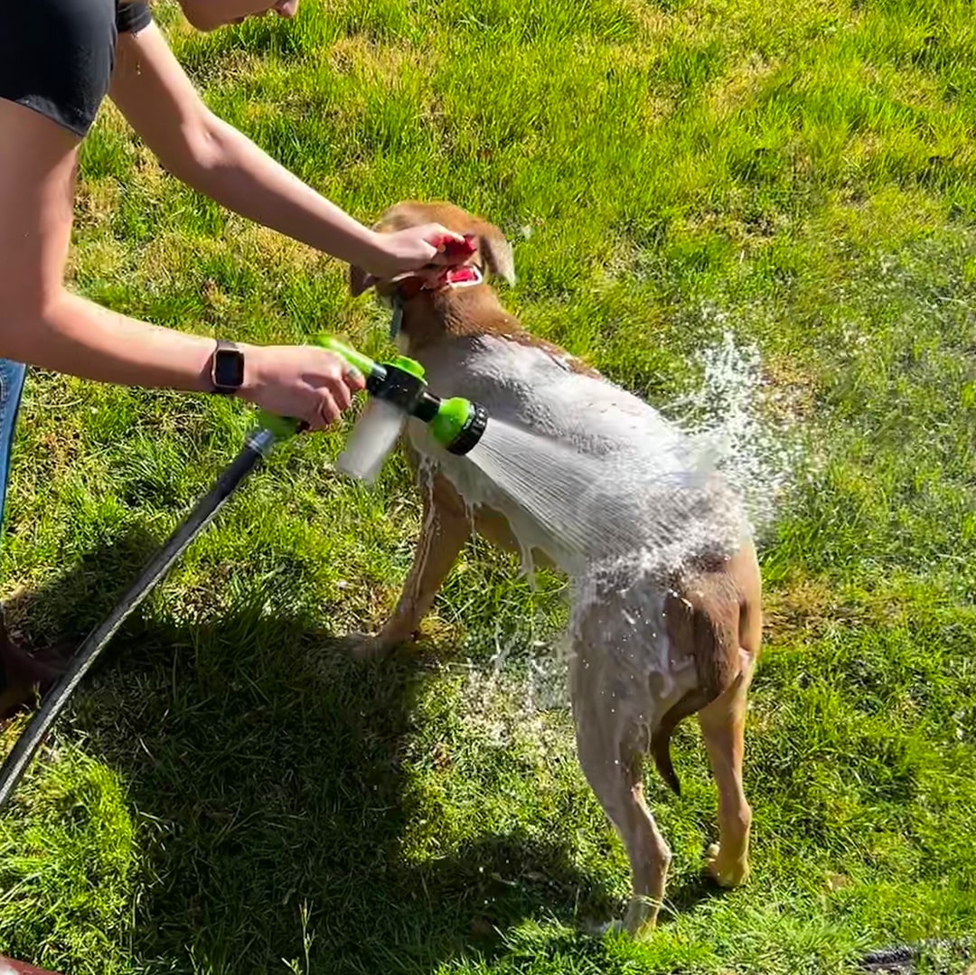 Hondenduschspray - WashBuddy