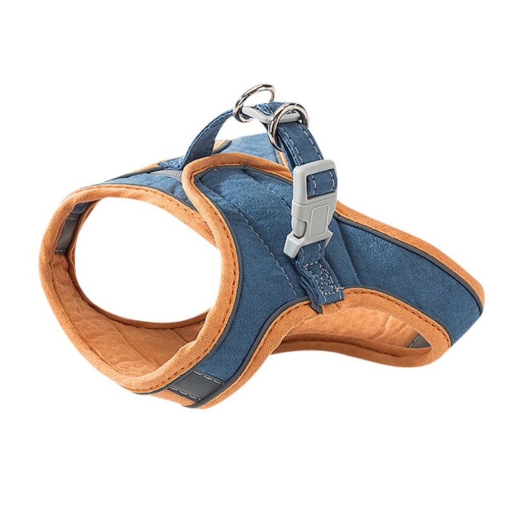 Kattenharnas – Oscar