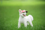 Stijlvolle Ronde Rand Hondenpet - SunnyPaws